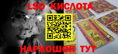 МДПВ Кингисепп
