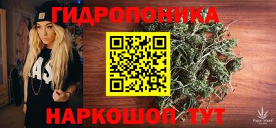 МДПВ Кингисепп
